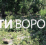 Причина падения ветки на 3 посетителей парка в Воронеже осталась невыясненной - ГТРК Воронеж