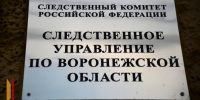 Председатель СК запросил доклад об избиении школьниц в Воронеже - РИА Воронеж