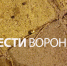 «Пули летели за нами». Школьницы рассказали о стрельбе в воронежском «Олимпийском» - ГТРК Воронеж