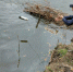 Экологи взяли пробы воды после жалоб воронежцев на разлив солярки в Дону - ГТРК Воронеж