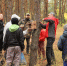 Кормушки для белок появились в воронежском парке - Обозреватель.Врн