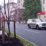 В Ленинском районе Воронежа высадили фруктовый сад - РИА Воронеж