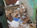 Больше 100 тысяч воронежцев приняли участие в субботнике 18 октября