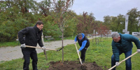 Команда депутатов ДСК приняла активное участие в осеннем благоустройстве Воронежа - МОЁ! Online