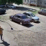В Воронеже не стали наказывать водителя, задавившего собаку на глазах хозяйки - TV-Gubernia.Ru