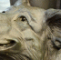 В Воронежской области нашли вандалов, которые испортили обновленный парк «Сердце Калача» - РИА Воронеж