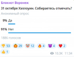 О праздновании Хэллоуина в России высказали свое мнение воронежцы