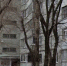В Воронеже мужчина открыл стрельбу с балкона: видео - РИА Воронеж