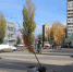 В Воронеже по поручению мэра продолжаются работы по озеленению - ГТРК Воронеж