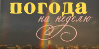 Ноябрь застрял между временами года: погода в Воронеже - Bloknot-Voronezh.Ru