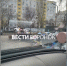 Жильцы воронежской 9-этажки пожаловались на кишащую грызунами свалку - ГТРК Воронеж