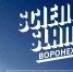 Science Slam в Воронеже: горожан приглашают на научный «стендап» в баре - TV-Gubernia.Ru
