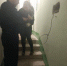В Воронеже спасли кота, застрявшего в стене дома - РИА Воронеж