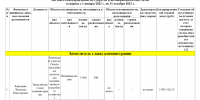 Вице-мэр Людмила Бородина с сумкой за 500 тысяч рублей пожаловалась на токсичных и неблагодарных воронежцев - Bloknot-Voronezh.Ru