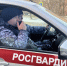За неделю росгвардейцы Воронежской области более 200 раз выезжали по сигналу «тревога» - РИА Воронеж