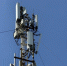 Исследование: назван лидер рынка частных LTE‑сетей - ВестиПК в Воронеже