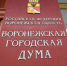 Съёмку ограничили для журналистов на заседаниях воронежской Гордумы - МОЁ! Online