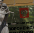 Воронежец отстоял в суде право на пониженный утильсбор на ввоз электромобиля - РИА Воронеж