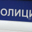 В Воронежской области пьяный мужчина нецензурно оскорбил полицейского - РИА Воронеж