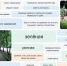 Плиточный бульвар: горожане подвергли критике уменьшение зеленых зон при ремонте Карла Маркса - Bloknot-Voronezh.Ru