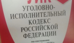 Столичного пособника мошенников задержали под Воронежем