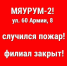 После пожара филиал кото-кафе закрыли в Воронеже - Обозреватель.Врн