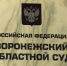 Путин назначил новых судей в Воронеже - МОЁ! Online