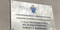 В Воронеже задержан мужчина, подозреваемый в совершении противоправных действий в отношении несовершеннолетних - Следственный комитет