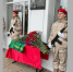 Под Воронежем открыли мемориальную доску выпускнику Никольской школы - РИА Воронеж