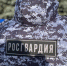 За прошедшую неделю воронежские росгвардейцы выезжали по сигналу «тревога» более 190 раз - РИА Воронеж