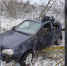 Водитель Lada попала в больницу после столкновения с деревом в Воронежской области  - Обозреватель.Врн