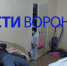 Полиция назначила экспертизу после обвинений воронежца в избиении бывшей - ГТРК Воронеж