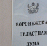 Депутаты Воронежской облдумы инициировали повышение выплат за рождение третьего ребёнка - ГТРК Воронеж