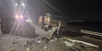 Молодая москвичка погибла в столкновении микроавтобуса с фурой на воронежской трассе - ГТРК Воронеж