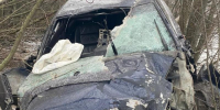 Водитель врезался в деревья в Воронежской области - Bloknot-Voronezh.Ru