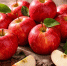 210 млн рублей взыскали с воронежского предприятия, засветившегося в использовании «рабского труда» - Bloknot-Voronezh.Ru