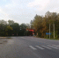 Пьяных водителей будут ловить на воронежских дорогах до конца недели - Комсомольская Правда