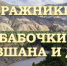 Музей истории Воронежского края представляет виртуальную выставку «Бражники. Бабочки Зеравшана и Дона» (в рамках соглашения о сотрудничестве между Воронежской областью и Бухарским вилаятом») - Краеведческий музей