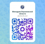 Воронежцы могут записаться к врачу в мессенджере MAX