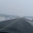 Из-за ветра в Воронежской области ввели желтый уровень погодной опасности - Комсомольская Правда