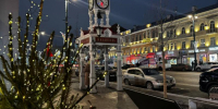 14-градусный мороз опустится на Воронеж в новогоднюю ночь - Bloknot-Voronezh.Ru