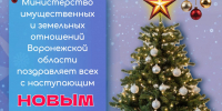 Министерство имущественных и земельных отношений Воронежской области поздравляет всех с наступающим Новым Годом! - Министерство имущественных и земельных отношений