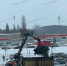 «Столько загубленных деревьев!» Куда попадают непроданные новогодние ели, показали на фото в Воронеже - МОЁ! Online
