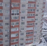 Мощный снегопад накрыл Воронеж. Когда закончится метель? - МОЁ! Online