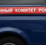 СК проводит проверку после жестокого избиения подростками мужчины в Советском районе Воронежа - РИА Воронеж