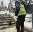 Фотографиями работящих коммунальщиков поделились воронежские власти - Bloknot-Voronezh.Ru