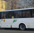 В Воронеже 37-я маршрутка сбила пенсионерку - Комсомольская Правда