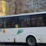 В Воронеже у Памятника Славы автобус №37 сбил пенсионерку - Обозреватель.Врн