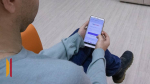 Воронежцев предупредили о фейковых сообщениях от «Госуслуг» о взломе аккаунта