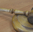 Суд вынес приговор воронежскому педофилу за получение 30 интимных фото несовершеннолетней девочки - РИА Воронеж